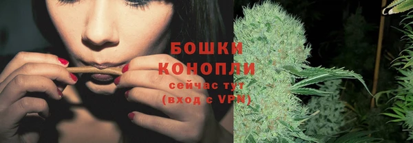трава Алзамай