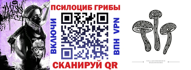 Псилоцибиновые грибы мицелий Кудрово