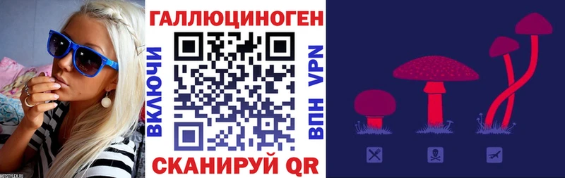 Галлюциногенные грибы Magic Shrooms  Кудрово 